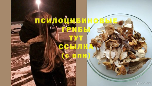соль курить ск Новозыбков